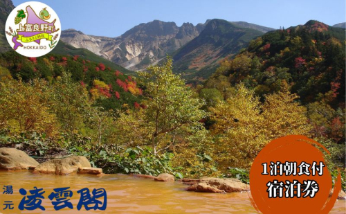 湯元凌雲閣 【 1泊朝食付 】 宿泊券 ホテル 旅館 旅行券 北海道 上富良野町 十勝岳 2458162 - 北海道上富良野町