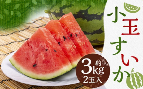 小玉 すいか 2玉入り 3Lサイズ 約3kg【2026年4月下旬～8上旬発送予定】 2458166 - 熊本県益城町