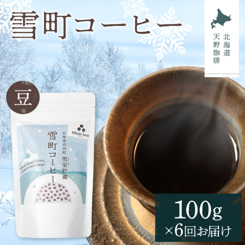 【定期便】雪町コーヒー 豆（100g）1個×6回 自家焙煎 低温貯蔵 エチオピア 北海道 沼田町 n-0115 2458172 - 北海道沼田町