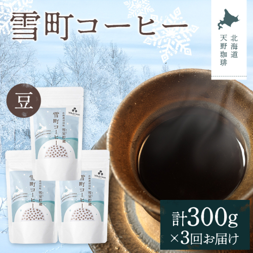 【定期便】雪町コーヒー 豆（100g）3個セット×3回 自家焙煎 低温貯蔵 エチオピア 北海道 沼田町 n-0117 2458174 - 北海道沼田町