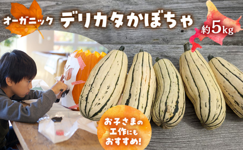 【2026年発送】 オーガニック かぼちゃ デリカタ BOX 約5kg 有機栽培 南瓜 カボチャ 北海道 倶知安 ニセコグリーンファーム 2458193 - 北海道倶知安町