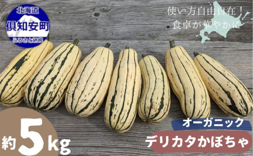 【2026年発送】 オーガニック かぼちゃ デリカタ BOX 約5kg 有機栽培 南瓜 カボチャ 北海道 倶知安 ニセコグリーンファーム 2458193 - 北海道倶知安町