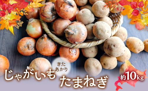 【2026年発送】 オーガニック じゃがたま BOX 約10kg 有機栽培 じゃがいも 玉ねぎ 北海道 倶知安 ニセコグリーンファーム 2458194 - 北海道倶知安町