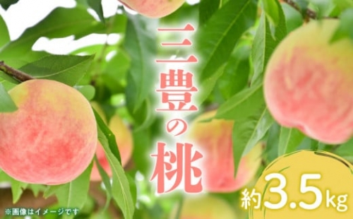 M02-0052_【先行予約】とろける果肉 「三豊の桃」 約3.5kg
