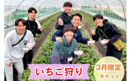 和田農園《3月》平日限定 いちご狩りチケット｜いちご 苺 体験 食べ放題 時間無制限 印西 千葉 [0532]