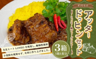 ギフトセット【アッタードゥヒン3個セット】 200g×3箱  カレー ミャンマーカレー レトルトカレー レトルト ミャンマー 辛口 常温 東京都 武蔵野市