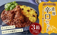 ギフトセット【濃厚辛口3個セット】  250g×3箱 カレー ミャンマーカレー レトルトカレー レトルト ミャンマー 辛口 常温 東京都 武蔵野市