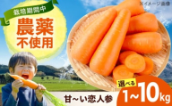 人参 1kg 人参 にんじん 野菜 やさい 旬の野菜 旬 季節 新鮮 採れたて 広島県福山市/しもみん農場 [BAGT002]