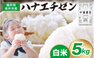 【先行予約】【令和8年産・新米】 坂井市産 ハナエチゼン 白米 5kg (中瀬農産) 【2026年10月以降順次発送予定】 【米 こめ お米 精米 ブランド米 華越前 国産】 [A-20505]