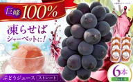 【巨峰100%使用】 ぶどうジュース （ ストレートジュース ）150ml×6本 【石井園】 [HDD003] ブドウジュース ジュース ぶどう ブドウ ソフトドリンク 果実飲料 ストレート ストレートジュース 巨峰 果物 フローズンジュース アイス キャンプ アウトドア