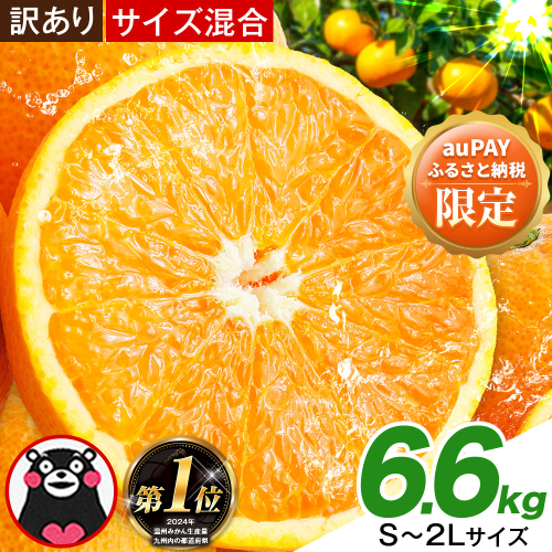【auPAYふるさと納税限定】みかん 訳あり くまもとみかん 約6.6kg S-2Lサイズ サイズ混合 小玉 中玉 大玉 ご家庭用《7-14日以内に出荷予定(土日祝除く)》 フルーツ 秋 旬 柑橘 熊本県 長洲町 熊本県産 長洲町産含む 2458714 - 熊本県長洲町