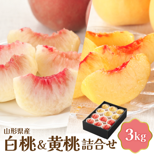 【令和8年産】白桃＆黄桃詰め合わせ 3kg 【JAさがえ西村山】 山形県 河北町 詰め合わせ 食べ比べ 人気 桃 白桃 黄桃 ka008-112e 2458803 - 山形県河北町