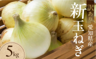 新玉ねぎ 大玉 訳あり 5kg（小傷・変形）5キロ 新玉 玉ねぎ タマネギ 玉葱 野菜 旬 旬の野菜 甘い サラダ 健康 農家 やさい わけあり ワケアリ 規格外 自宅 家庭 お取り寄せ 人気 鮮度 新鮮 生 糖度 愛知県 豊橋市