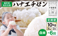 【先行予約】【令和8年産・新米】 定期便 ≪6ヶ月連続お届け≫坂井市産 ハナエチゼン 白米 10kg (5kg×2袋)×6回 計60kg (中瀬農産) 【2026年10月以降順次発送予定】 【米 こめ お米 精米 ブランド米 華越前 国産】 [J-20502]
