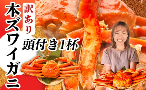 2025年末大感謝祭 訳あり かに 頭付き 本ズワイガニ 1杯 (700g相当) ボイル ズワイガニ スピード発送 冷凍 蟹 カニ 蟹みそ かにみそ 蟹足 かに足 鍋 ずわいかに ズワイ蟹  ズワイ おせち お正月 年末 年内 塩竈市 塩釜 塩釜水産食品 頭付きかに 魚介 お正月準備 2459037 - 宮城県塩竈市