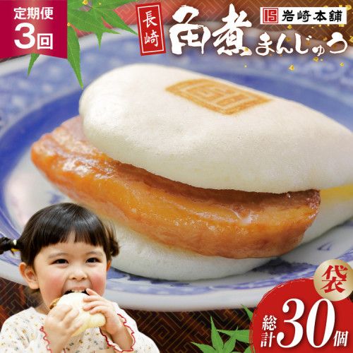 BJ011 岩崎本舗 【3回定期便】長崎角煮まんじゅう 10個入 (袋) [長崎県 島原市] 2459115 - 長崎県島原市