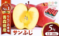 【2025年産】★2026年1月下旬〜2月頃発送予定★ りんご【サンふじ】約5kg （12～20玉） 青森県三戸町産 りんご サンふじ 2025年産 サンふじりんご 旬 甘い 青森県三戸町 AK-25-063