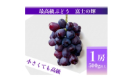 ＜2026年先行予約＞富士の輝 計500g 1房 山梨県産【1694815】