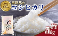 【定期便】コシヒカリ 5kg×3回 15kg 新潟県産 玄米不可 新潟県 新潟米 新発田産 新発田 お米 米 こめ コシヒカリ 新発田ファーム 数量限定 新発田ファーム 新潟 新発田 shibatafarm007