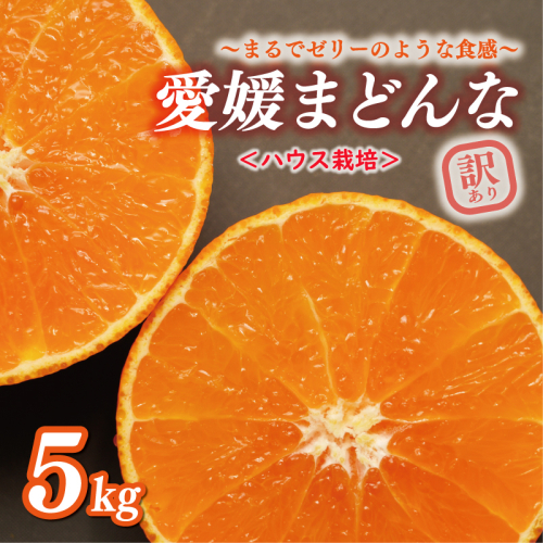 数量限定 ハウス栽培 訳あり まどんな 5kg わけあり みかん mikan 蜜柑 ミカン 国産 愛果28号 紅まどんな 同品種 あいか アイカ 高級 人気 ブランド 柑橘 ハウス栽培 マドンナ 甘い おいしい 前田ファーム 愛南町 愛媛県 2459197 - 愛媛県愛南町