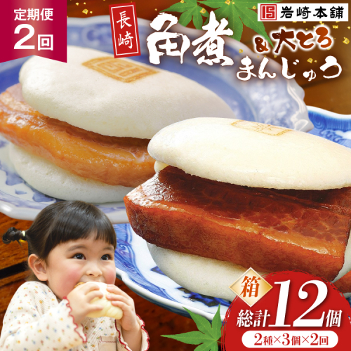 BJ063 岩崎本舗 【2回定期便】長崎自慢セット(長崎角煮まんじゅう 3個・大とろ角煮まんじゅう 3個) (箱) [長崎県 島原市] 2459204 - 長崎県島原市