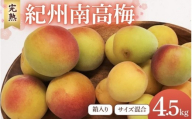【2026年分先行予約】完熟梅 紀州南高梅 4.5kg サイズ混合（箱込み）※2026年6月中旬～順次発送予定 / 20000円 2万円 田辺市 果物 果実 くだもの かじつ 梅 生梅 梅干し うめぼし 梅酒 梅ジュース 梅シロップ 手作り 自家製 新鮮 収穫日発送 【sny006】