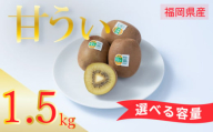 【先行予約】【2026年10月下旬～11月末発送】福岡限定!ブランドキウイ「甘うぃ(あまうぃ)」約1.5kg箱(12-15玉) キウイ キウイフルーツ フルーツ 果物 福岡 川崎町