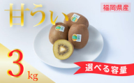 【先行予約】【2026年10月下旬～11月末発送】福岡限定!ブランドキウイ「甘うぃ(あまうぃ)」約3kg箱(24-30玉) キウイ キウイフルーツ フルーツ 果物 福岡 川崎町