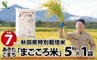 令和7年産秋田県特別栽培米あきたこまち「まごころ米」5kg 75P9017　/ 米 5kg あきたこまち 令和7年産 特別栽培米 まごころ米 秋田県 お米 弁当 おにぎり 大館 東北 秋田 大館市 小分け こわけ 5キロ 5ｷﾛ 5きろ