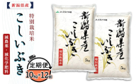 75-7K10Z【12ヶ月連続お届け】新潟県長岡産特別栽培米こしいぶき10kg（5kg×2袋）【2026年4月発送開始】