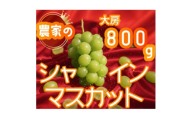 ＜2026年先行予約＞シャインマスカット 1房 800g 小さな農家のこだわりシャイン【1699610】