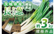 ★訳あり★河野農園自慢の新鮮長ねぎ(規格外) 約3kg｜長ネギ 長ねぎ ネギ ねぎ 葱 野菜 やさい 訳あり わけあり 訳アリ 野菜 新鮮 規格外 茨城県 行方市(HW-1)