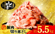 豚切り落とし 訳あり 約 5.5 kg 豚肉 切り落とし 小分け 250g × 22パック 真空パック 国産 20000円 2万円 豚 肉 豚こま 豚小間 送料無料 冷凍 SPF 千葉県 旭市 有限会社 下山農場