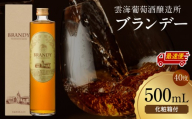 【最速便】雲海葡萄酒醸造所 ブランデー 500ml_M375-005-01-2W