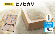 令和7年度 定期便 12回 米 1粒からこだわる 1等級米 ヒノヒカリ 無洗米 5kg お米 コメ お楽しみ 12ヶ月 令和7年度産