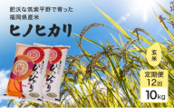 令和7年度 定期便 12回 米 1粒からこだわる 1等級米 ヒノヒカリ 玄米10kg お米 コメ お楽しみ 12ヶ月 令和7年度産