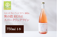 数量限定 スパークリングワイン ヴィンテージ 750ml 海の泡 2024 ROSE 海に近い 圃場 ワイン ロゼ ITAYA FARM セカンド vintage お酒 ぶどう 葡萄 石川県 羽咋市 石川 羽咋 能登