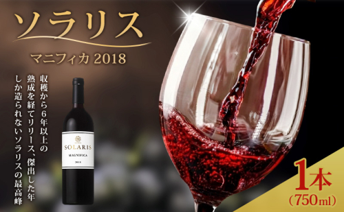 日本ワイン ソラリス マニフィカ 750ml 1本 赤ワイン マンズワイン 酒 お酒 洋酒 果実酒 ぶどう酒 長野 長野県小諸市 2460574 - 長野県小諸市