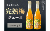 梅ジュース　250ml×2本　中棚温泉　長野　信州　小諸