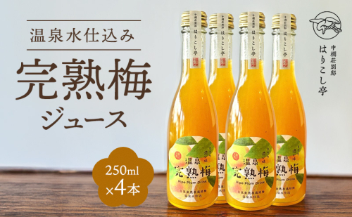 梅ジュース　250ml×4本　中棚温泉　長野　信州　小諸 2460599 - 長野県小諸市