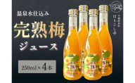 梅ジュース　250ml×4本　中棚温泉　長野　信州　小諸