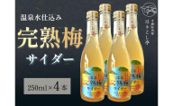 梅サイダー　250ml×４本　中棚温泉　長野　信州　小諸