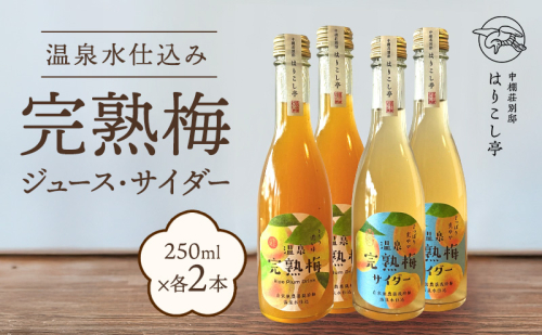 梅ジュース＆梅サイダー　250ml×各種２本　中棚温泉　長野　信州　小諸 2460601 - 長野県小諸市