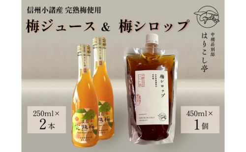 梅ジュース250ml×2本＆梅シロップ450ml×1個　中棚温泉　長野　信州　小諸 2460602 - 長野県小諸市