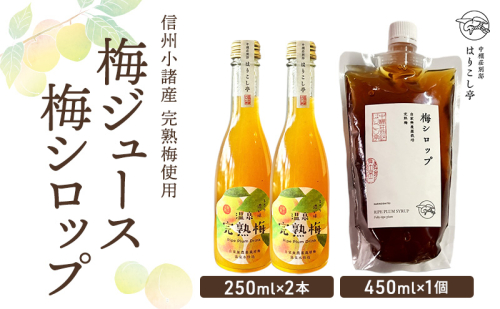 梅ジュース250ml×2本＆梅シロップ450ml×1個　中棚温泉　長野　信州　小諸 2460602 - 長野県小諸市