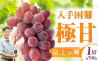 【先行予約 8月下旬より発送】富士の輝 1房（約700g） 果物 くだもの 葡萄 ぶどう ブドウ シャインマスカット マスカット ますかっと しゃいんますかっと クダモノ フルーツ ふるーつ デザート でざーと スイーツ すいーつ 広川町 / 井上農園 [AFCK001]