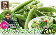 飛騨高山産 筋取り不要の有機栽培スナップエンドウ500g（春限定・5〜6月発送）｜新鮮 春野菜 旬の味覚 えんどう 彩り野菜 山藏農園 JC018