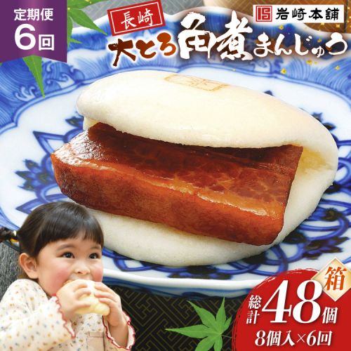 BJ051 岩崎本舗 【6回定期便】大とろ角煮まんじゅう 8個入 (箱) [長崎県 島原市] 2461053 - 長崎県島原市
