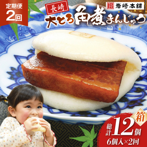BJ044 岩崎本舗 【2回定期便】大とろ角煮まんじゅう 6個入 (箱) [長崎県 島原市] 2461129 - 長崎県島原市