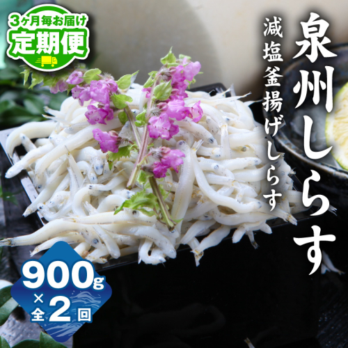 【定期便】減塩 釜揚げしらす 900g 全2回【2026年3月＆2026年6月発送 小分け 150g×6P シラス しらす sirasu 海鮮 人気 おすすめ 産地直送】 G3739 2461294 - 大阪府泉佐野市